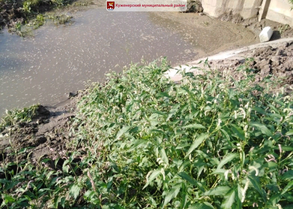 Фото вк_3.png Фото вк_3.png